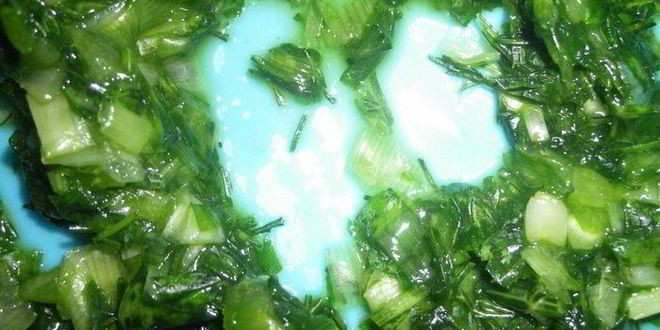 Рецепт универсальной окрошки