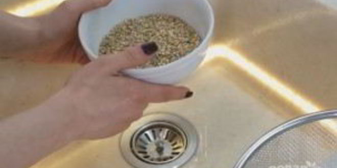 Рецепт домашнего рассольника с перловой крупой