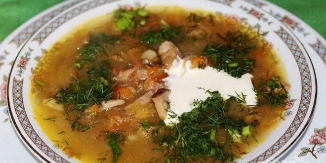 Рецепт Кислых щей из квашеной капусты с грибами