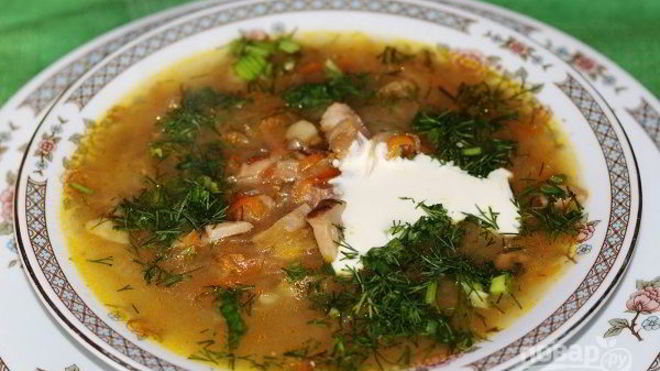 Рецепт кислых щей из квашеной капусты с грибами