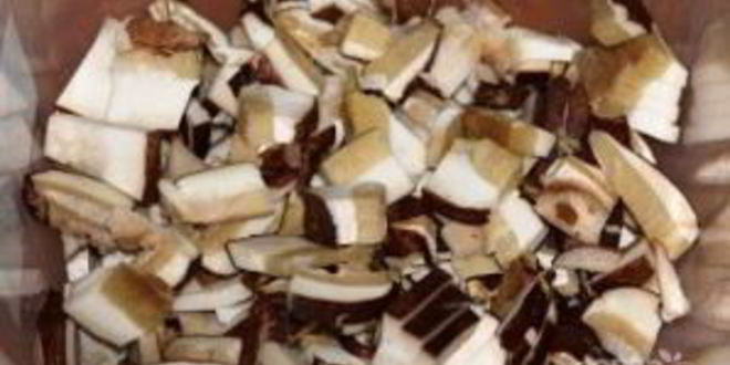 Рецепт кислых щей из квашеной капусты с грибами