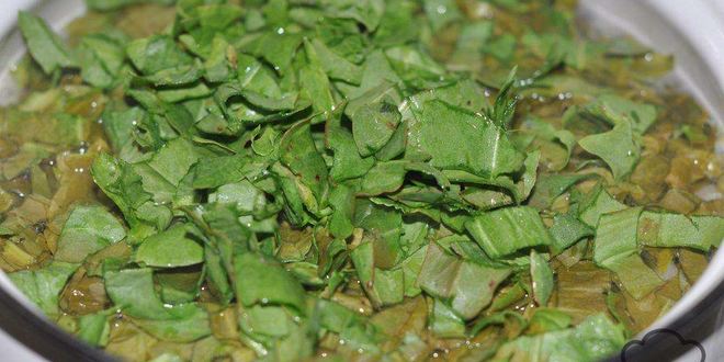 Рецепт щавелевых щей с яйцом на курином бульоне