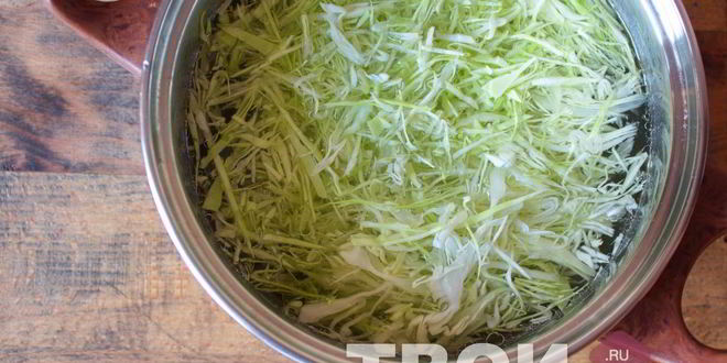 Рецепт щей из молодой капусты