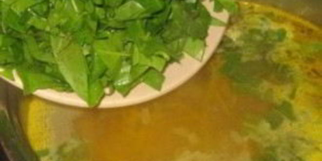 Рецепт щей из щавеля с курицей