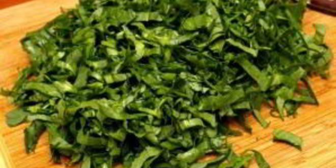 Рецепт щей из щавеля со свининой