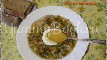 Рецепт Щей из щеницы