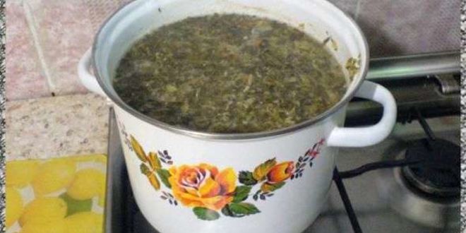 Рецепт щей из щеницы