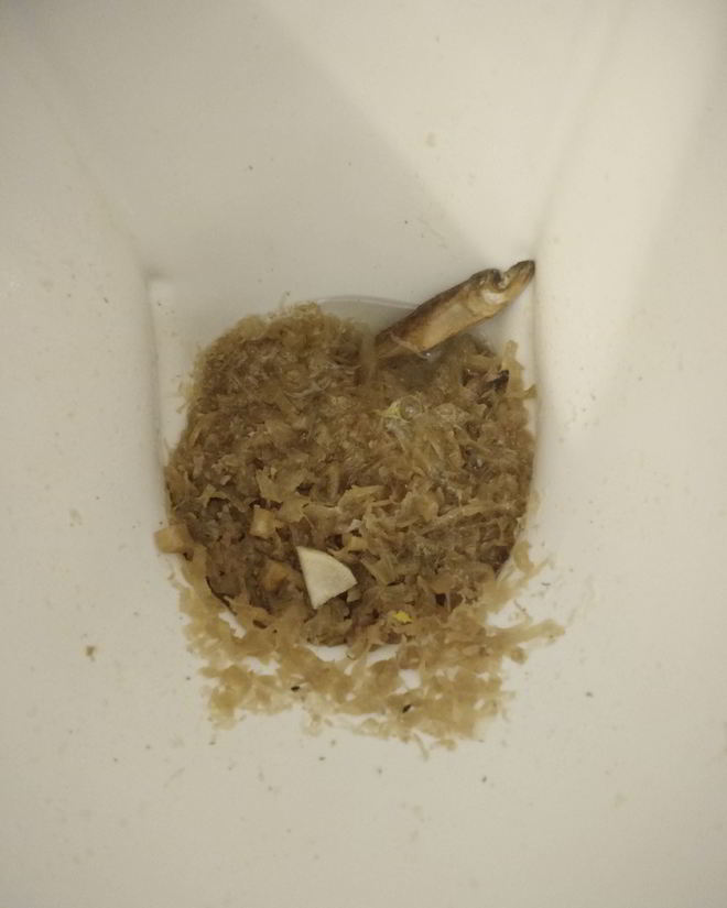 Рецепт щей из снетков