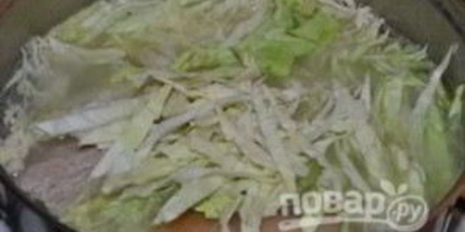Рецепт щей из свежей капусты
