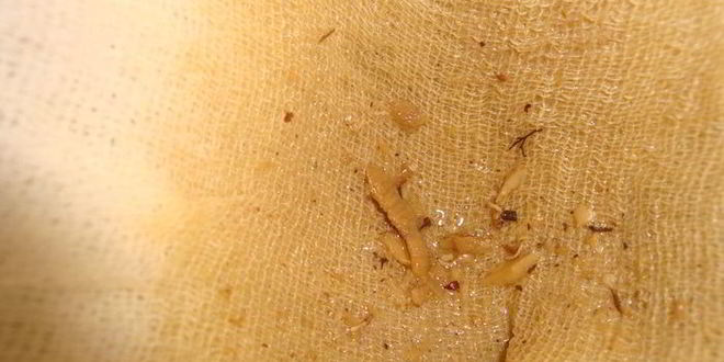 Рецепт щей кислых грибных