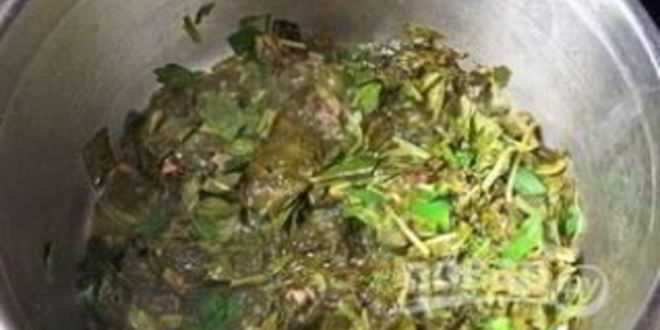 Рецепт зеленых щей из щавеля