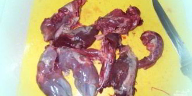 Рецепт шурпы из дичи