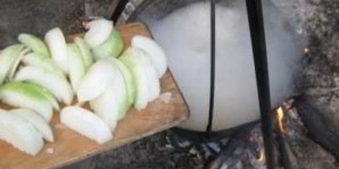 Рецепт шурпы из утки на костре