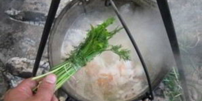 Рецепт шурпы из утки на костре