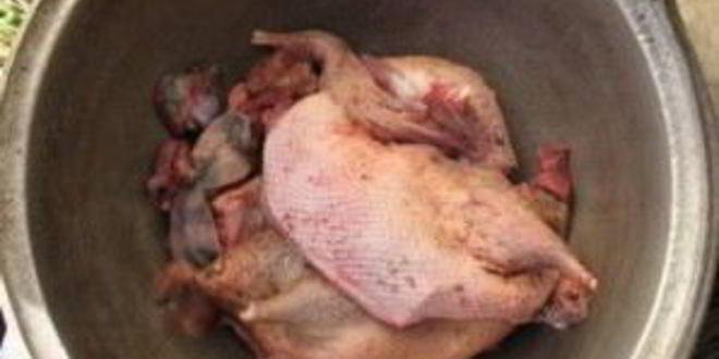 Рецепт шурпы из утки