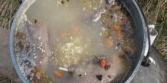 Рецепт шурпы из утки