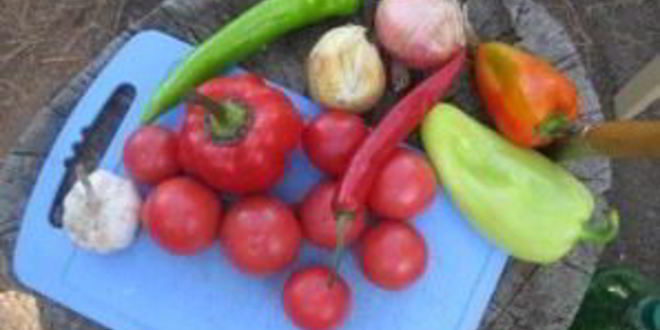 Рецепт шурпы с баклажанами