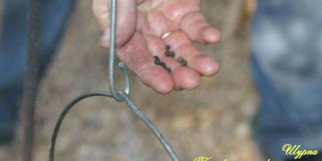 Рецепт шурпы в котле