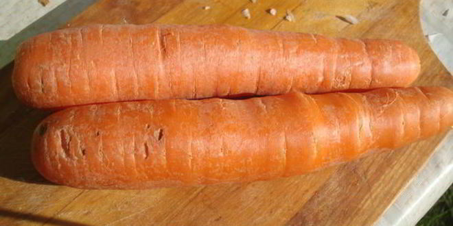 Рецепт узбекской шурпы из баранины