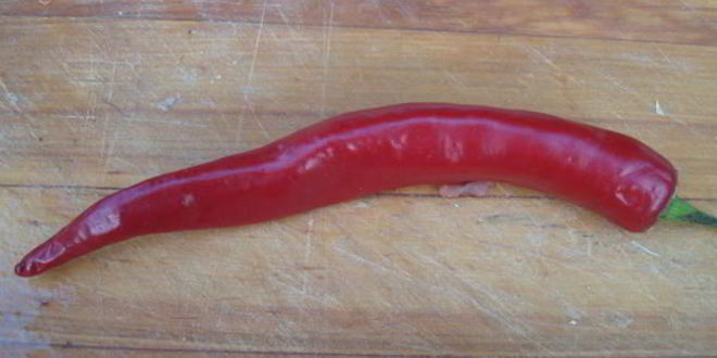 Рецепт узбекской шурпы из баранины