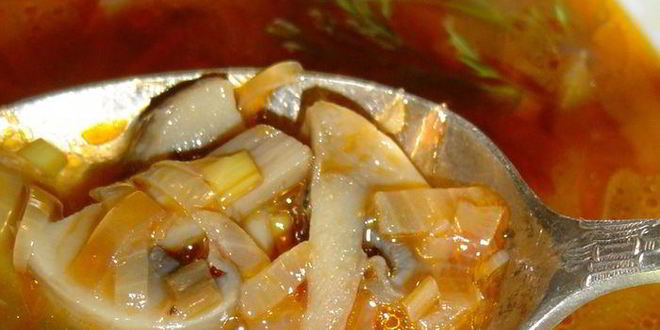 Рецепт грибной солянки