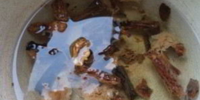 Рецепт солянки из квашенной капусты