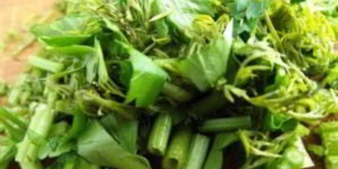 Рецепт солянки с копченой курицей