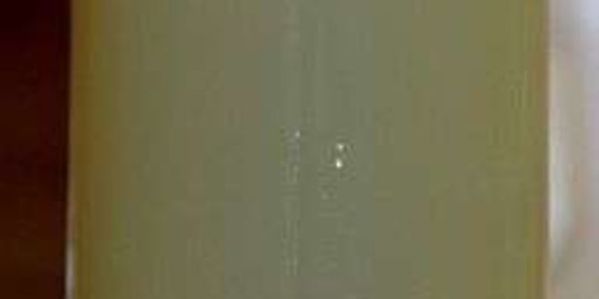 Рецепт солянки