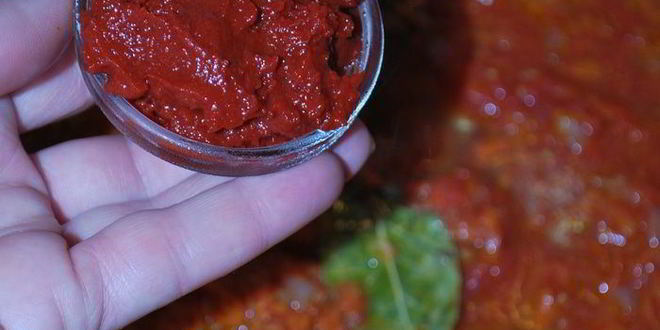 Рецепт харчо со сливами