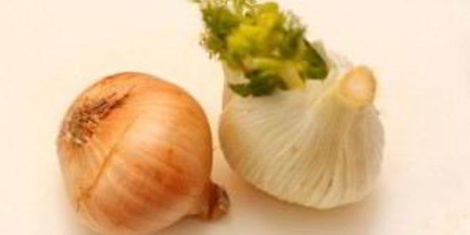 Рецепт морковного супа-пюре