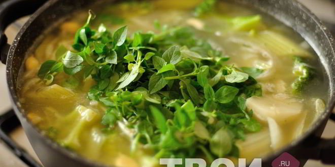 Рецепт овощного супа-пюре с базиликом