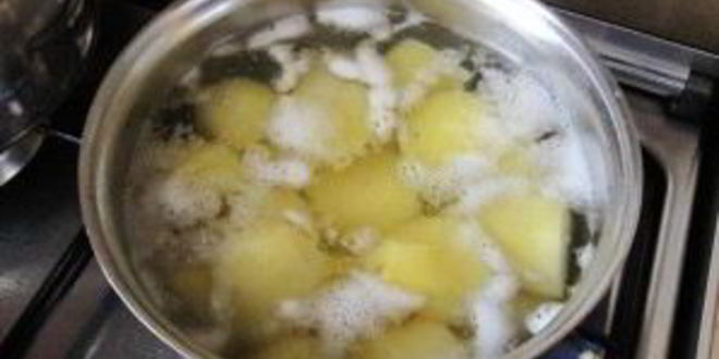 Рецепт супа-пюре из опят