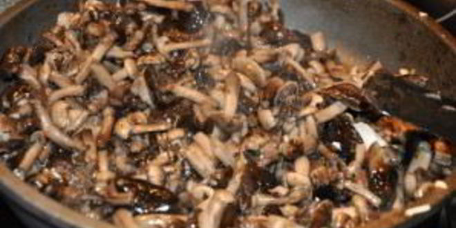 Рецепт супа-пюре из опят