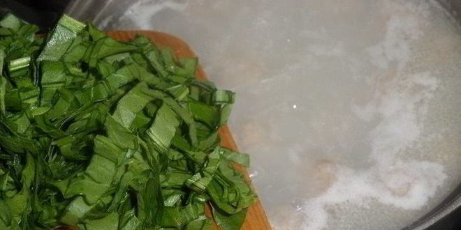 Рецепт супа с рисом, щавелем и фрикадельками