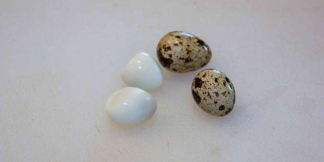 Рецепт свекольника холодного с ботвой