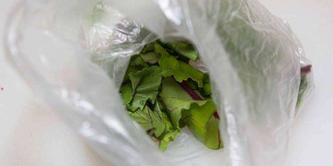 Рецепт свекольника холодного с ботвой