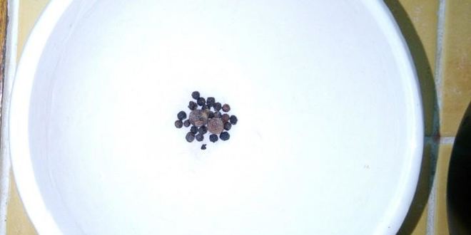 Рецепт свекольника с говядиной