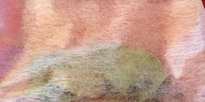 Рецепт свекольника с грибными пельмешками