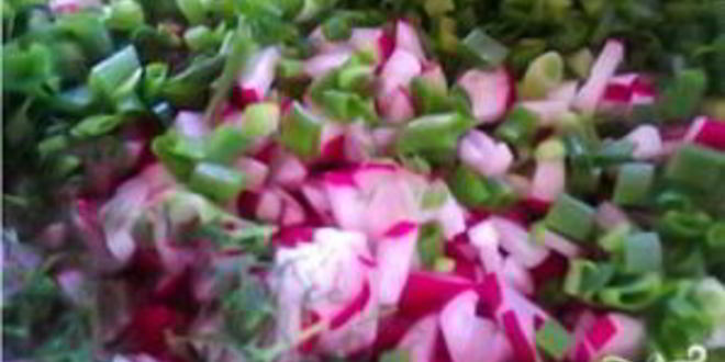 Рецепт свекольника с мясом