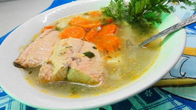 Рецепт рыбного супа уха из кеты