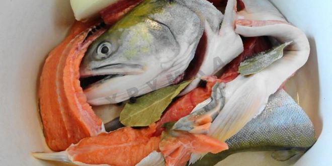 Рецепт рыбного супа уха из кеты