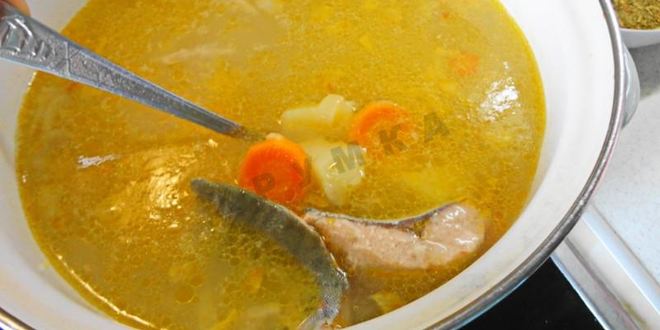 Рецепт рыбного супа уха из кеты