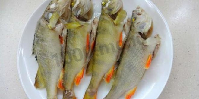 Рецепт рыбного супа уха из речной рыбы