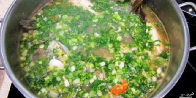 Рецепт ухи из головы сазана