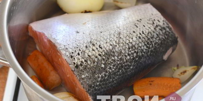 Рецепт ухи из красной рыбы