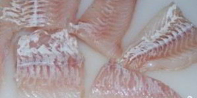 Рецепт ухи из пикши