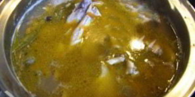 Рецепт ухи из сома