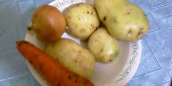 Рецепт ухи из судака