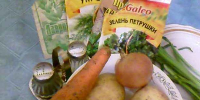 Рецепт ухи из судака