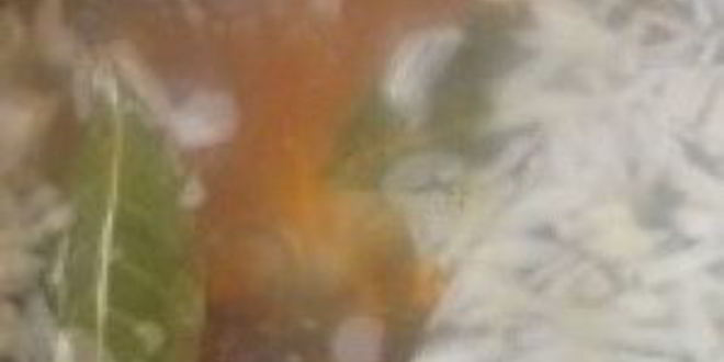 Рецепт ухи из зубатки